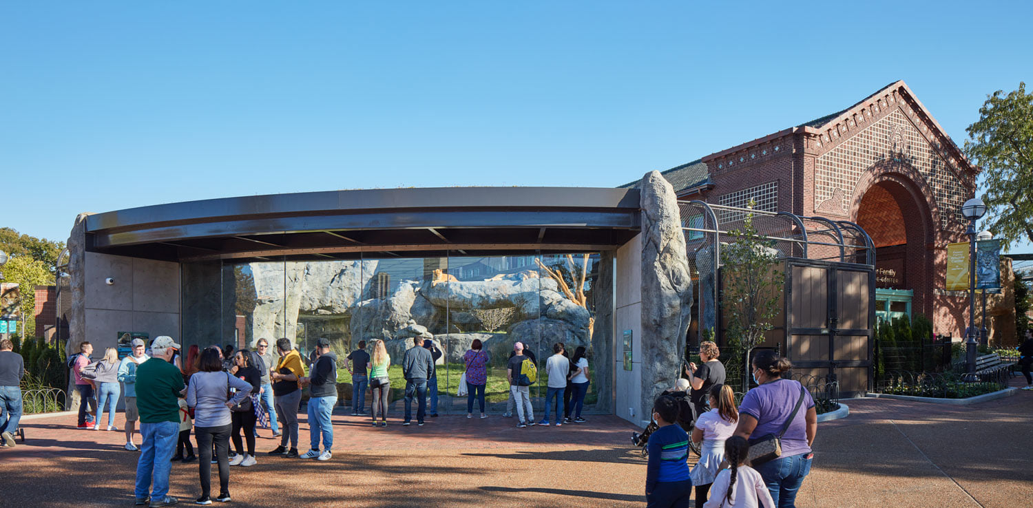 Historic lion house at Chicago’s Lincoln Park Zoo shines in new light ...
