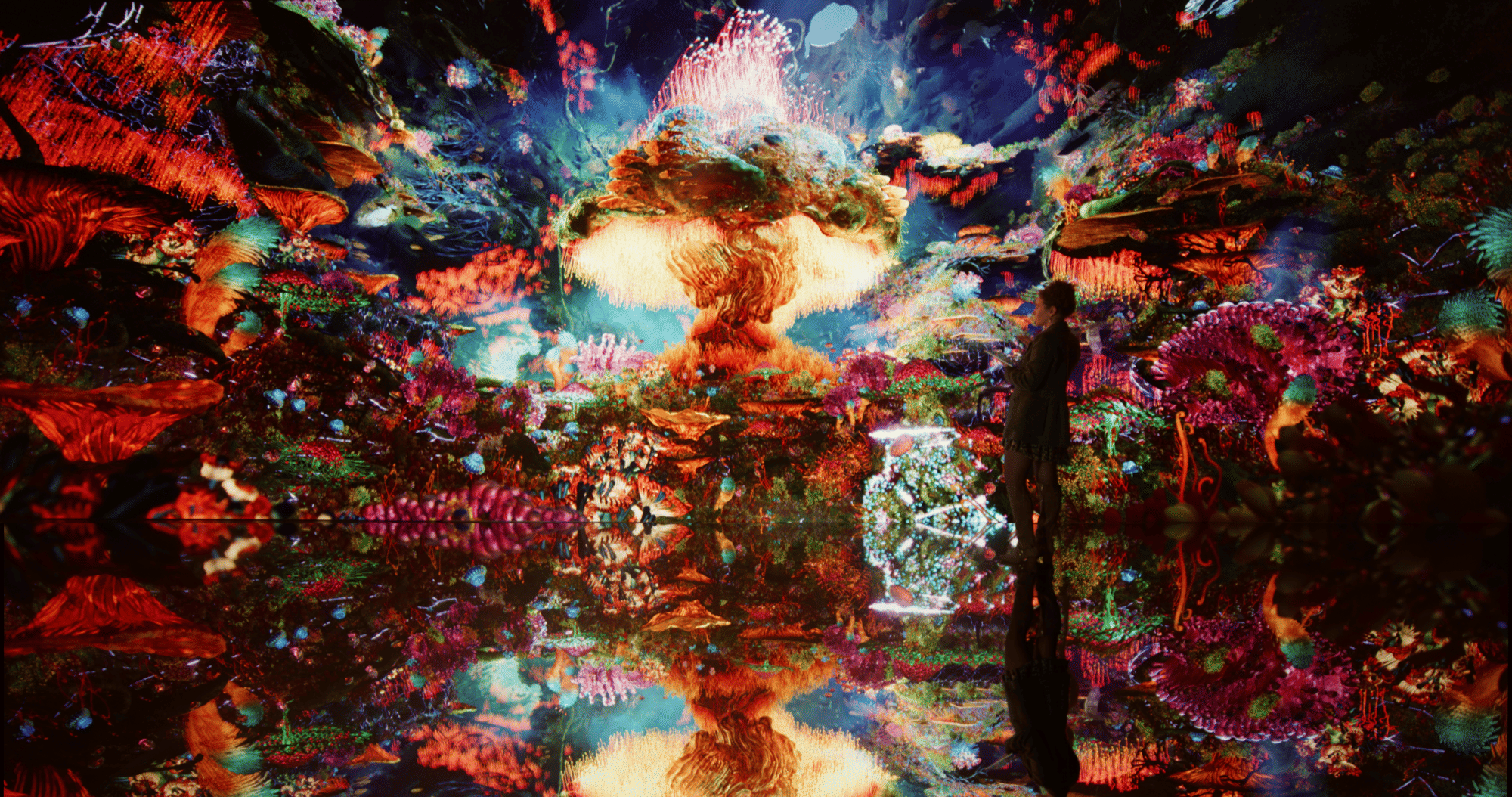 Refik Anadol creates ‘world first’ AI model trained on data from nature instead of humans