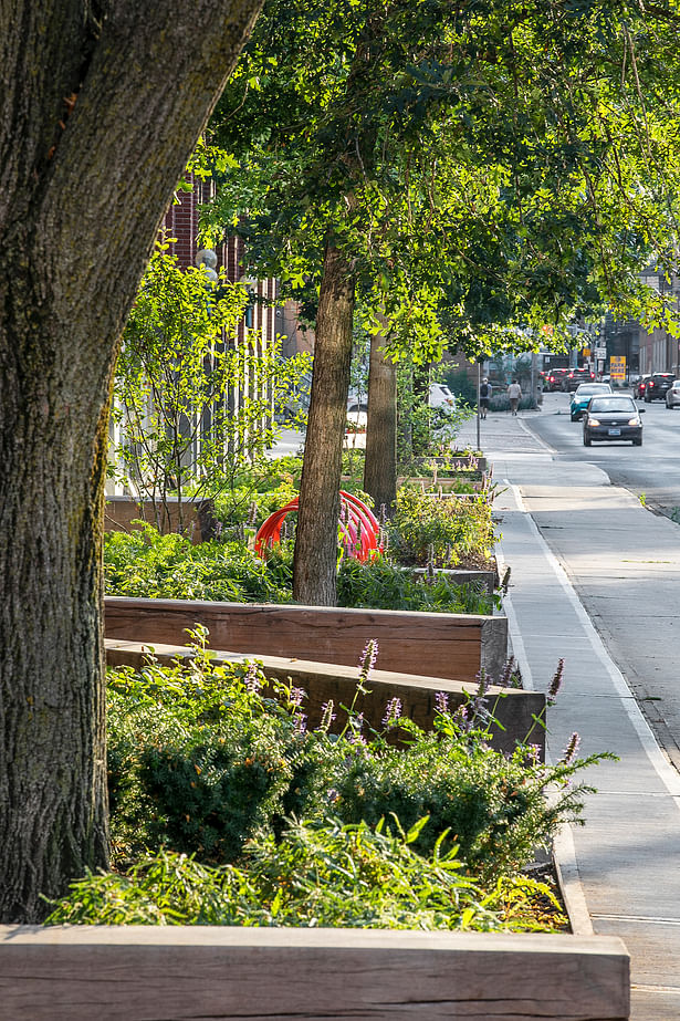 Planting alternating with seating