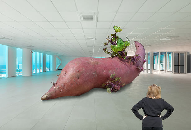 The Potato in a Large White Room With a Women in Black.