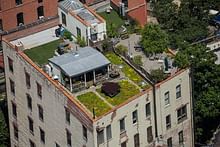 Urban homesteading done right: Look at this hidden rooftop cottage in Manhattan