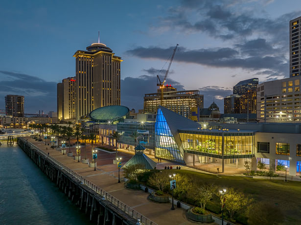 ​Audubon Nature Institute Aquarium & Insectarium (Photo: Tim Hursley)