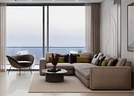 Modern Apartment Interior Design and Furniture Solution