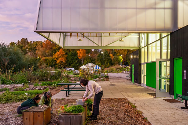 Rainier Beach Urban Farm & Wetlands Classroom Building - gardening