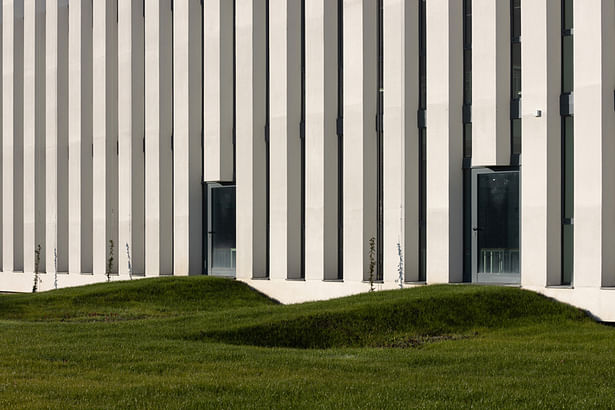 the garden and the classrooms