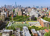 Greenwich Village School Green Roof—PS41