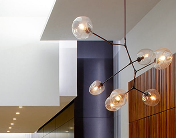 Warmth is created by new light fixtures and a custom-built wood reception desk.
