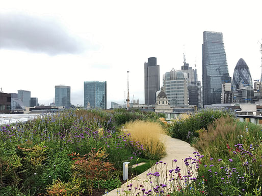 Planning and Delivering Green Roofs in the City of London, EC2 by City of London Corporation.