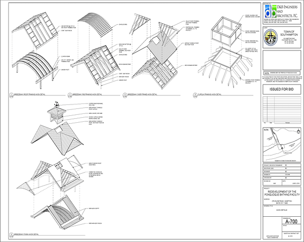 Axon Sequence Details