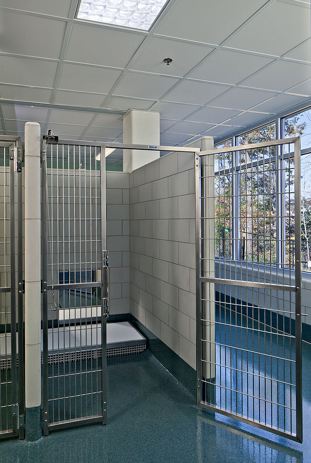 Dog adoption kennel