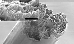 A new "super wood" nanofiber biomaterial is stronger than spider silk