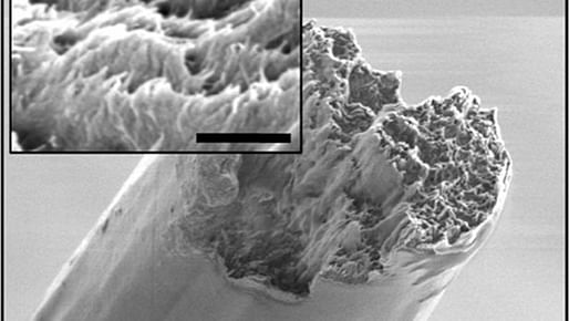 Electron microscope image of the cellulose nanofiber material derived from wood, now the strongest biomaterial ever made. Image: KTH Royal Institute of Technology.