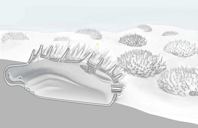 Diagram of structure inspired by thermal-insulating ability of polar bears. Image credit: im studio mi/la, Ilaria Mazzoleni, Alessandro Colli, Richard Molina.
