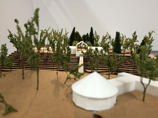 Lodge: Site Model