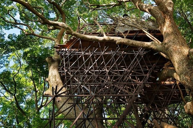 Built around a 300-year old camphor tree, the 3D-designed steel trellis structure supporting the treehouse doesn't even touch the tree. (Photo: Koji Fujii / Nacasa and Partners Inc.; Image via spoon-tamago.com)
