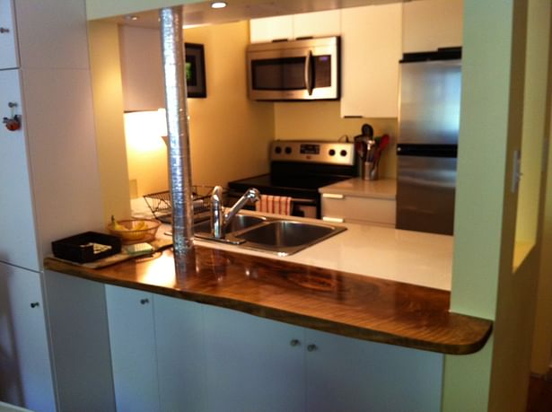Kitchen included custom reclaimed walnut countertop and custom in-wall wine storage.