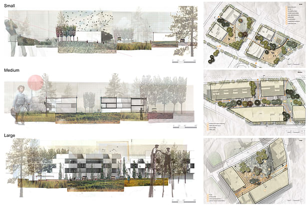 Sections and Landscape Plans