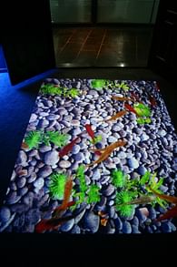 Interactive floor