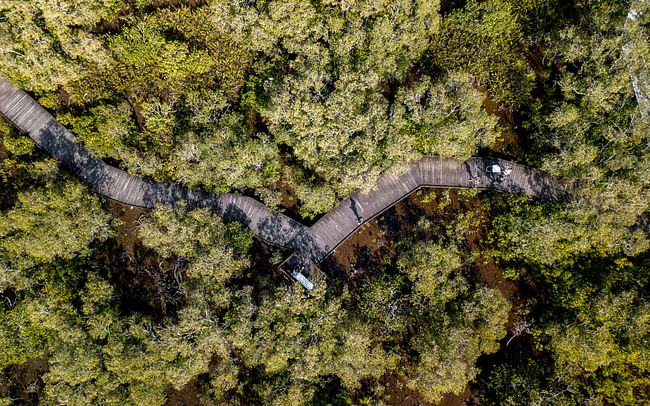 Maroochy Wetland Sanctuary – photography by Krista Appleton