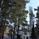 Belfry visible in the approach to Vuoksenniska Church (Church of 3 Crosses), Vuoksenniska, Finland 1958