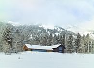 Snake River Cabin 