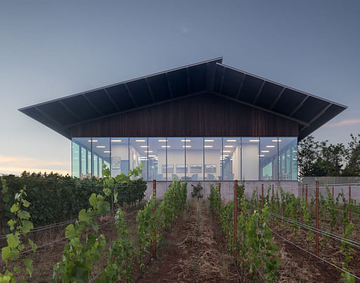 Furioso Vineyards. Image courtesy: Waechter Architecture