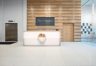 Avenues: The World School, New York Expansion