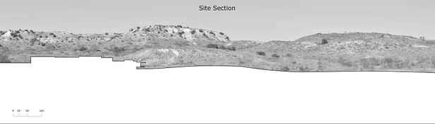 Site Section
