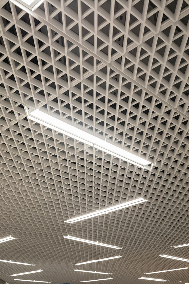 Detail of custom glass fiber reinforced gypsum (GFRG) ceilings. © James Ewing
