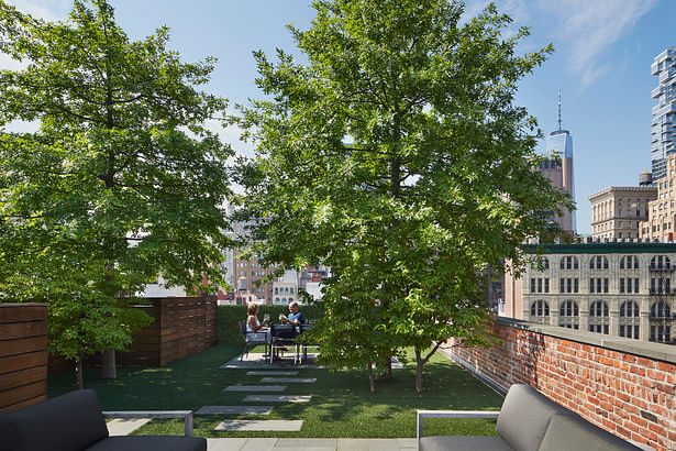 Rooftop terrace with 40' tall Oak trees