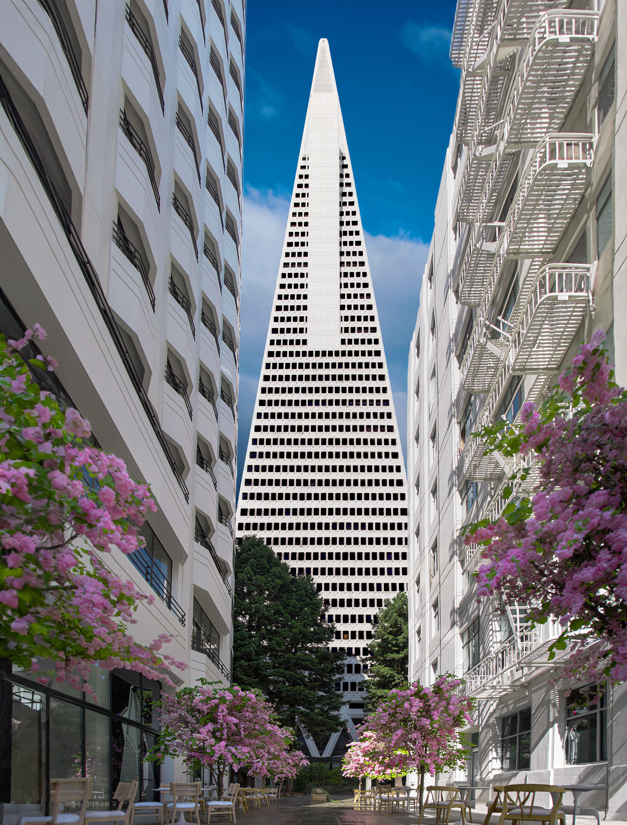San Francisco's Transamerica Pyramid Center reopens with a