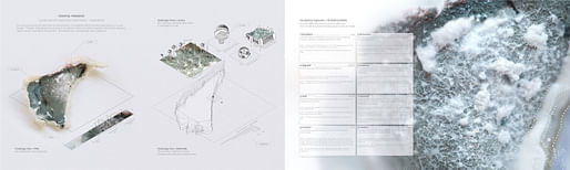 “Coastal Paradox”​ by Bradley Cantrell (University of Virginia), Fionn Byrne (University of British Columbia) + Emma Mendel (Nelson Byrd Woltz)