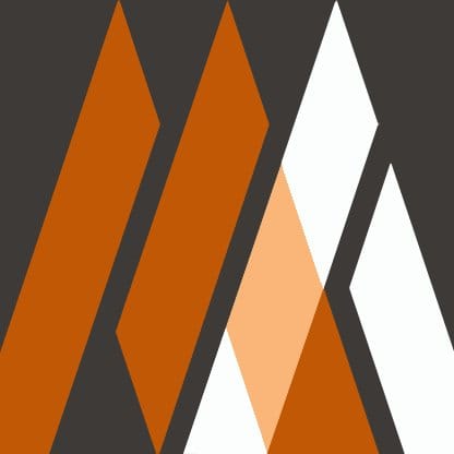 Architectural team Memeber