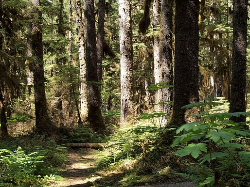 View of the Tongass National Forest in Alaska. Image courtesy of Wikimedia user Gillfoto.