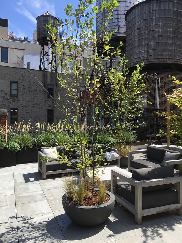 Chelsea Rooftop Garden Design
