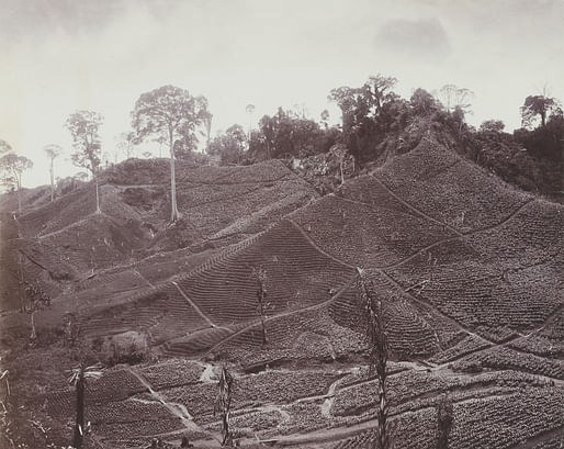 Image from Robin Hartanto Honggare's dissertation​ 'Building Commodities: Environments of the Colonial Plantation in East Sumatra, 1869–1942,' the 2022 Carter Manny Research Award winner.