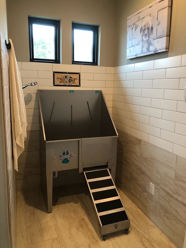 Utility Dog Wash Station