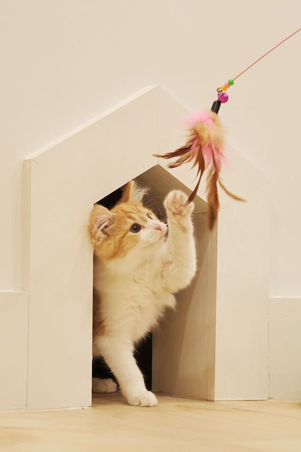 Small openings allow for the cats to take breaks as they want to the back room where it's private and closed off to visitors.