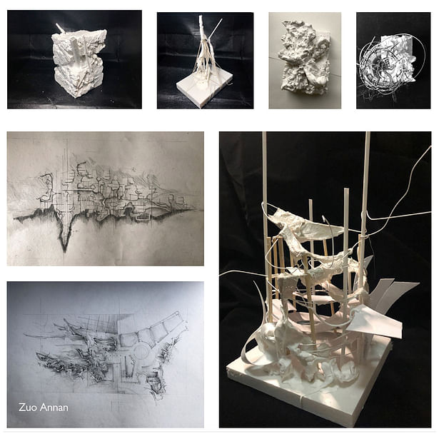 In Dialogue with Nature: Architecture for the Post-Anthropocene. Tutored by: Claudia Westermann. XJTLU, ARC304, FYP Studio 2019-20. Work by Zuo Annan.