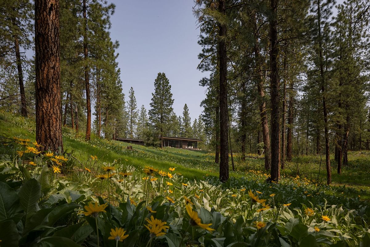 Wildflower by Prentiss + Balance + Wickline Architects