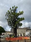 Oliver Wainwright has seen this movie before with Heatherwick’s Tree of Trees installation