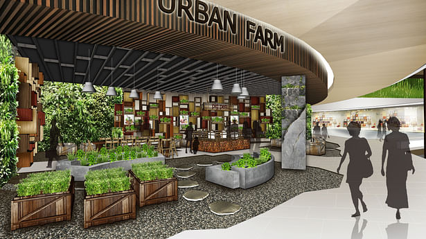 Urban Farm View | Modeled in Sketchup, Rendered in Photoshop