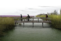 Coastal Erosion Study