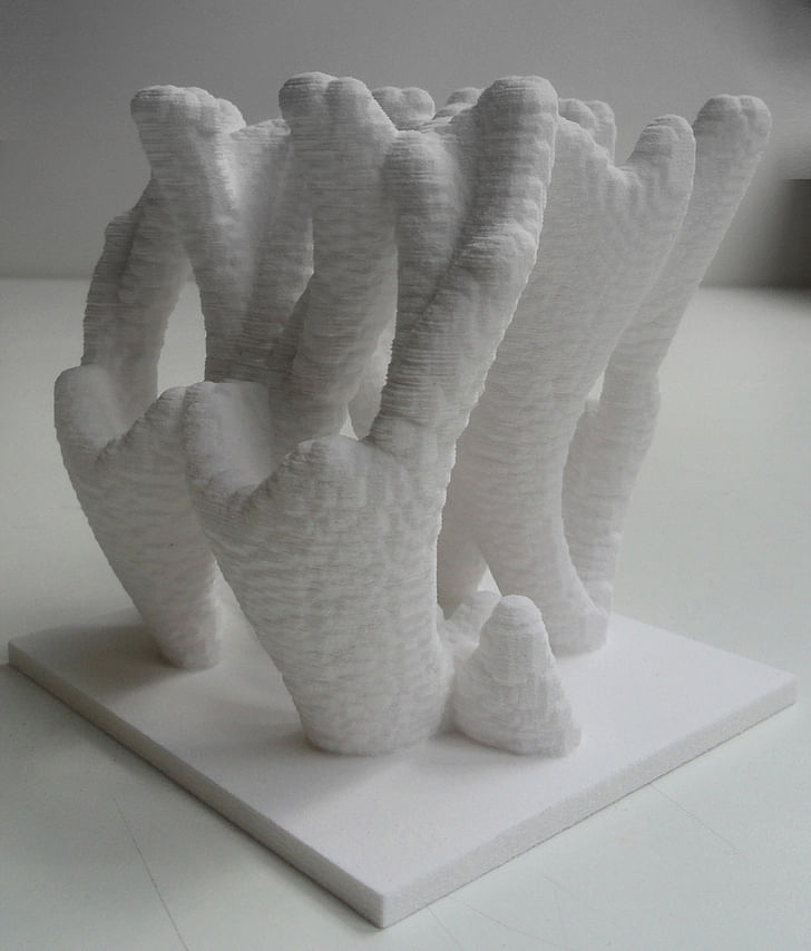 3d-printed model / reaction diffusion system (Photo: Architectural Association)