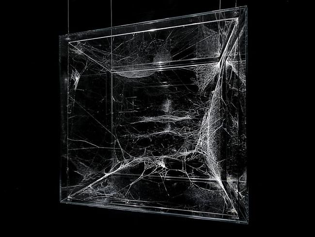 A web presented by Saraceno at a past exhibition at Tanya Bonakdar Gallery. Credit: Tanya Bonakdar Gallery