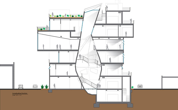 Longitudinal Section