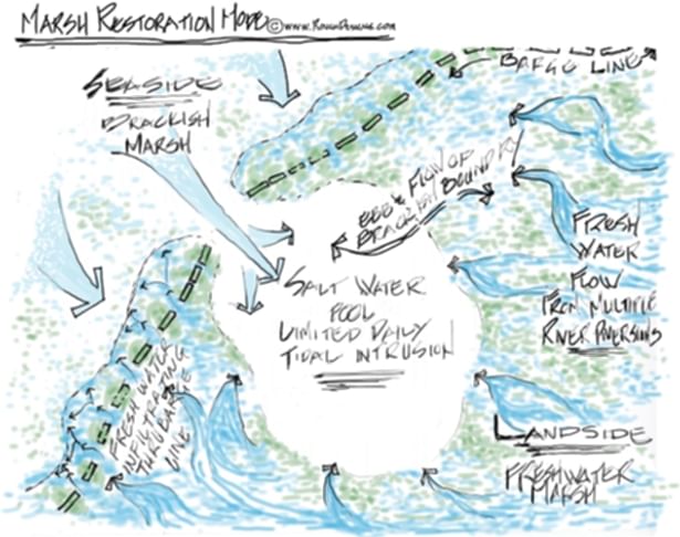 Operational Schematic for Wetlands Restoration by Barge Levee line of Eco Barges - Incubator Barges