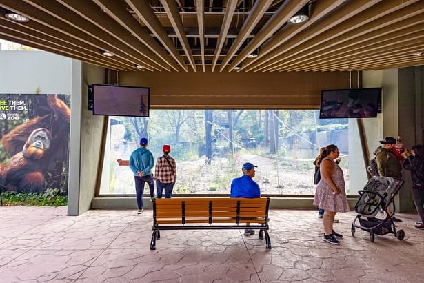 A ground-level viewing spot helps facilitate playful interaction between visitors and the animals. 