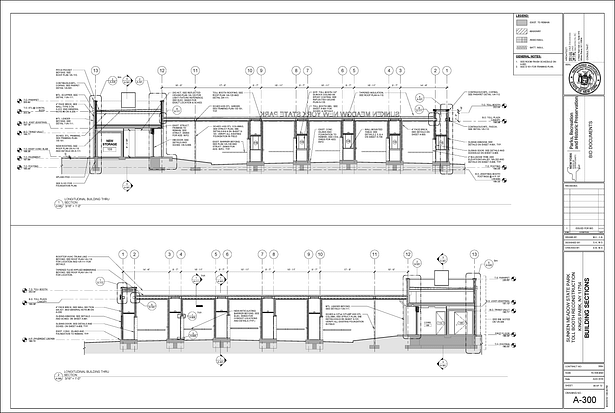 Longitudinal Section