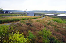 Field Operations completes North Park transformation at Freshkills Park, once world's largest landfill